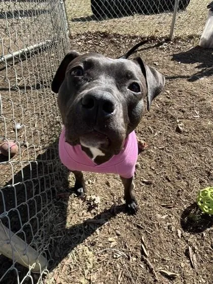 Charlotte thumbnail 6