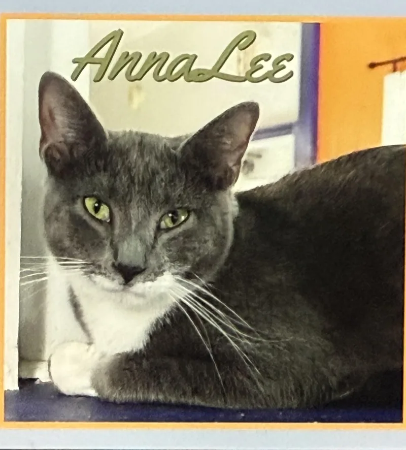 AnnaLee thumbnail 2