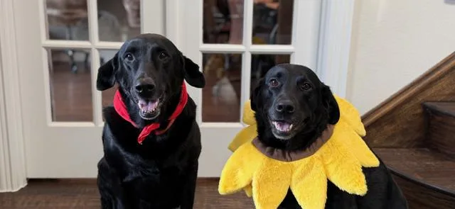 Mulligan And  Jenna thumbnail 4