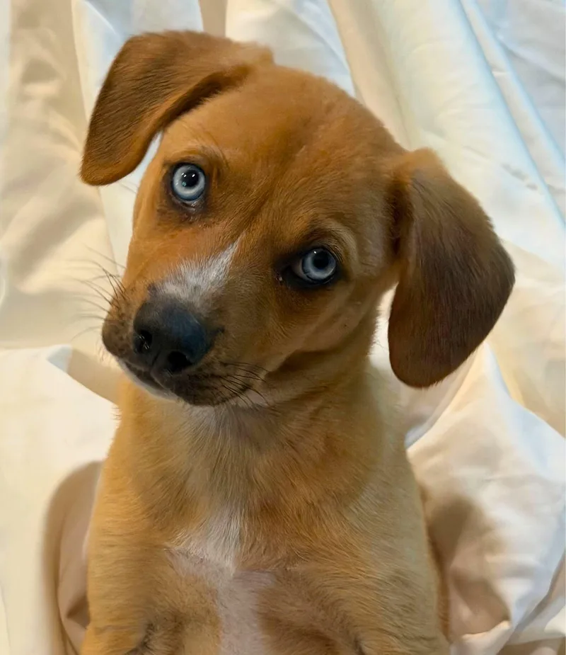 Spice Boys thumbnail 2