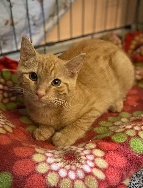 Sebastian