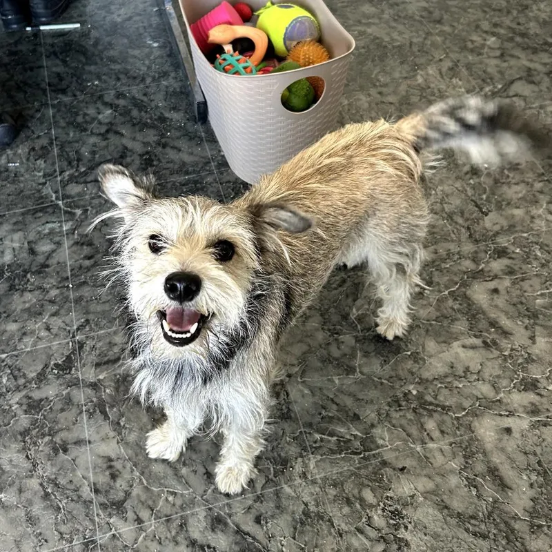 Max