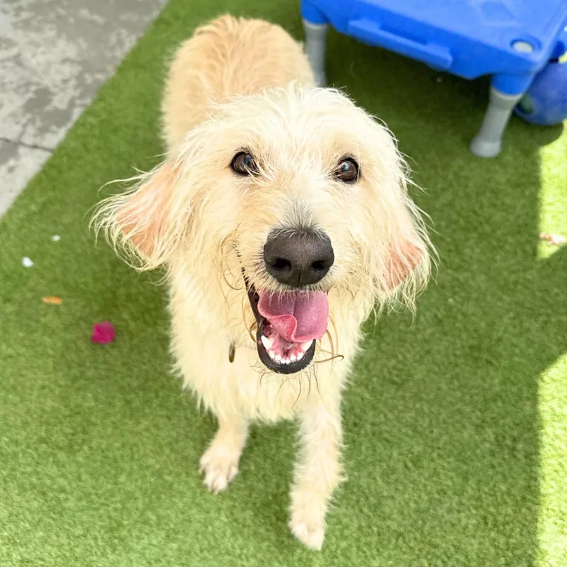 Suzie