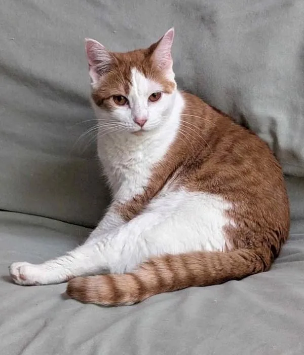 Gretchen thumbnail 2