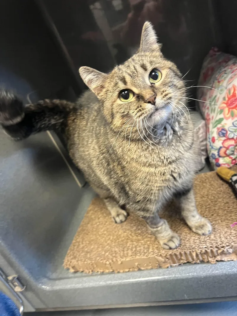 Princess thumbnail 3