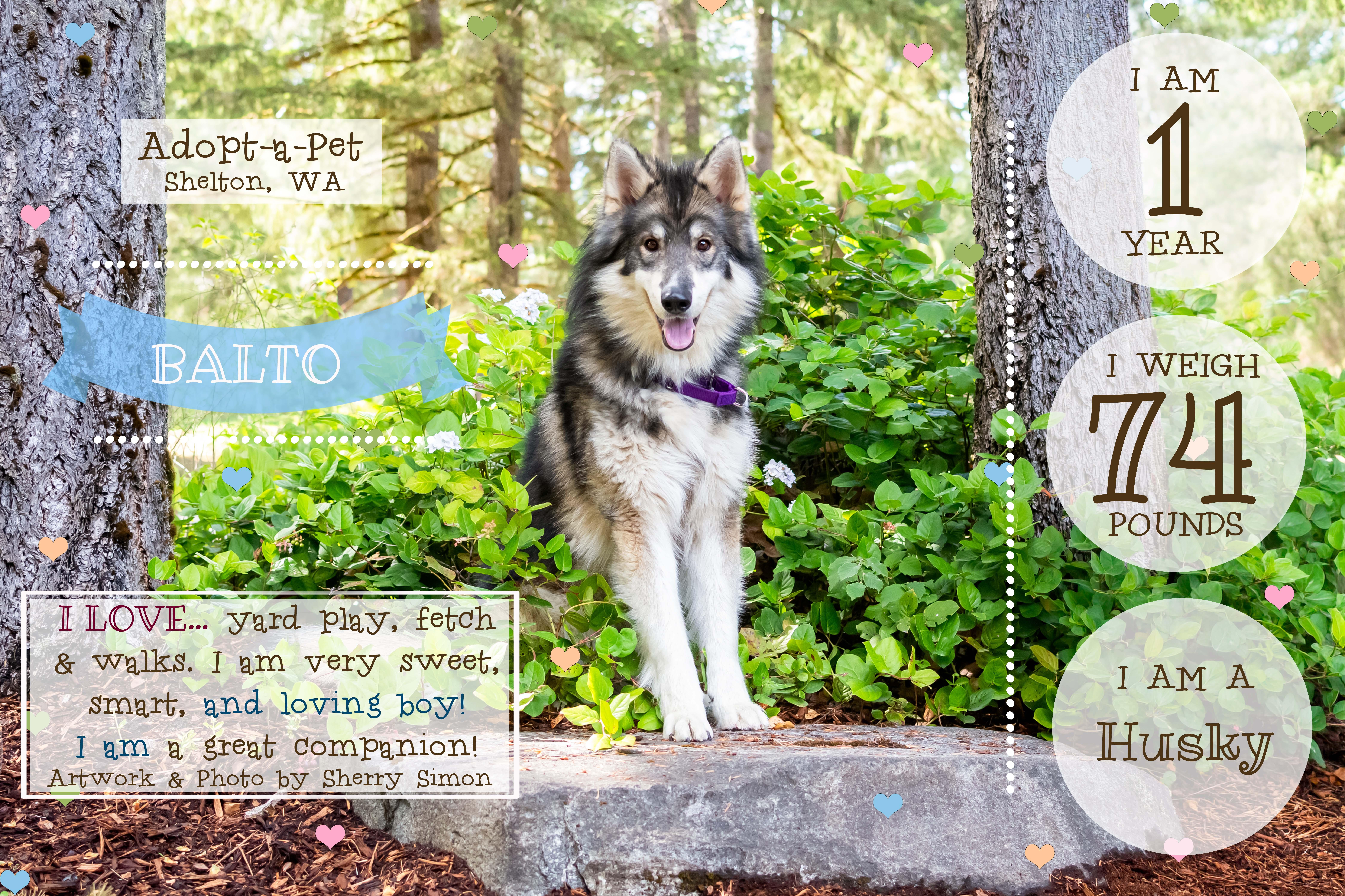 Balto thumbnail 2