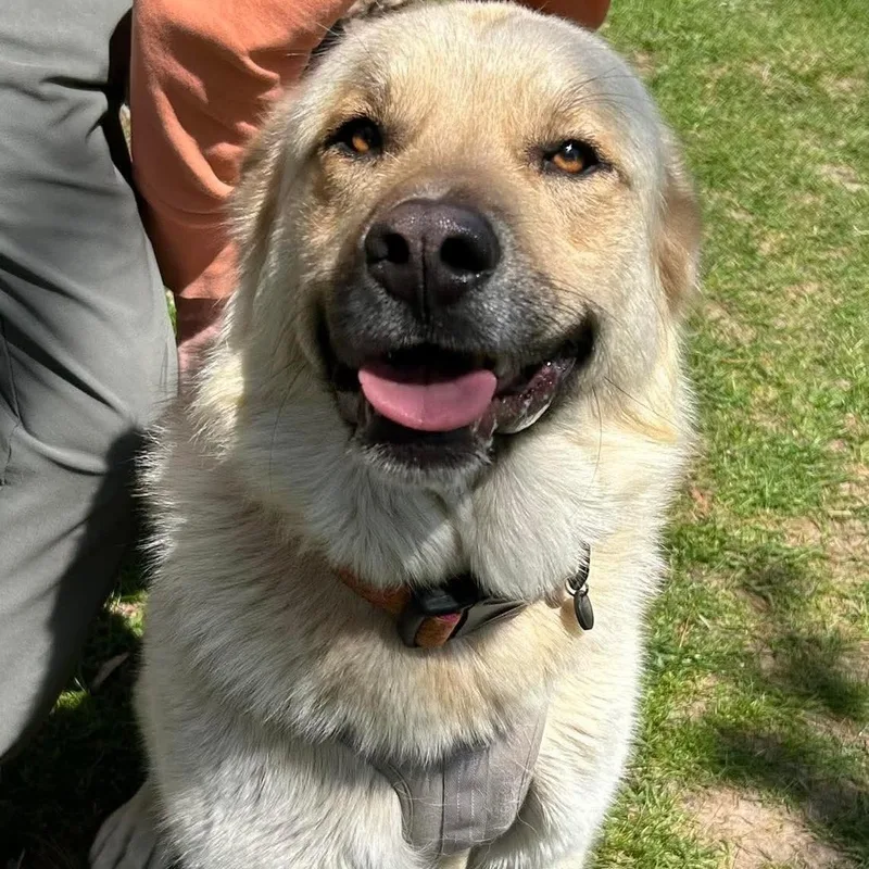 Roxy