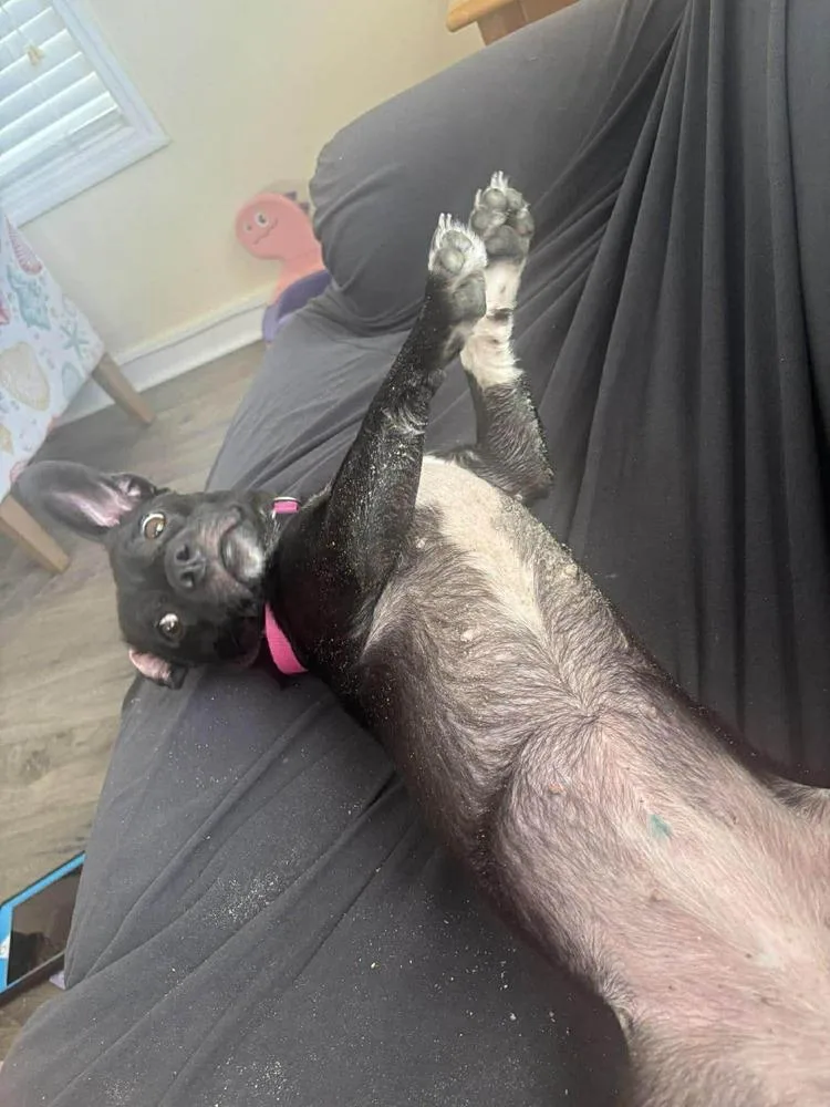 Sadie Jane thumbnail 2