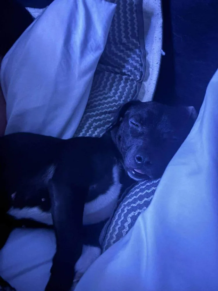 Sadie Jane thumbnail 3