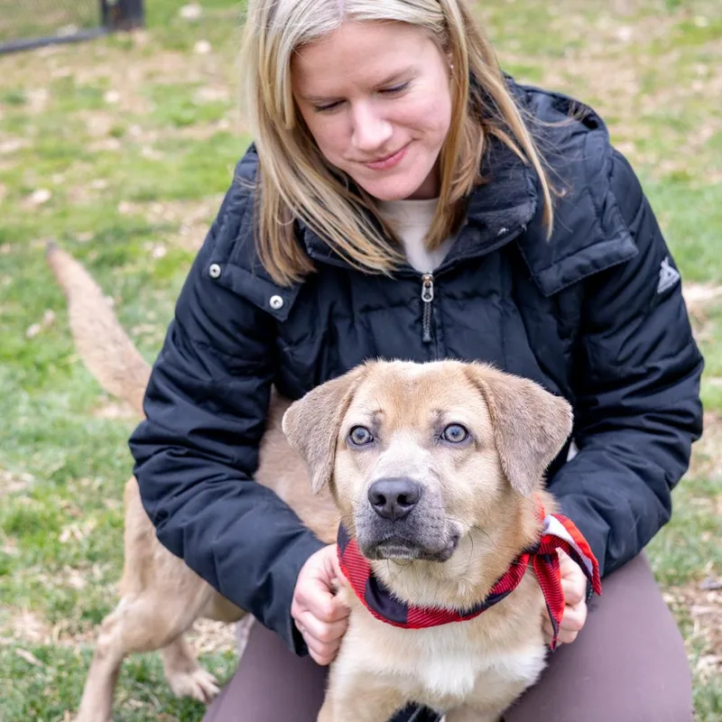 Dennyavail thumbnail 3