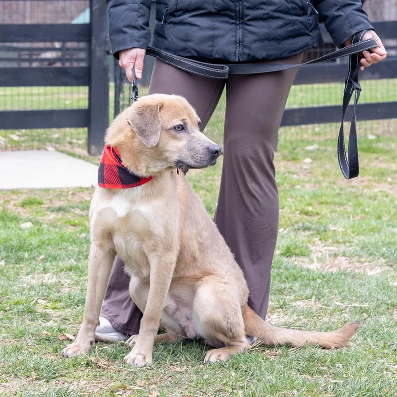 Dennyavail thumbnail 4