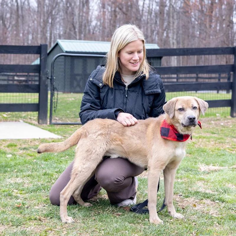 Dennyavail thumbnail 6