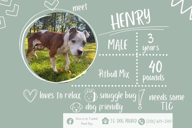 Henry thumbnail 2