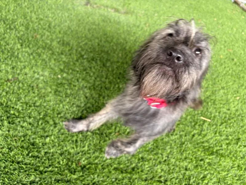 Mika thumbnail 2