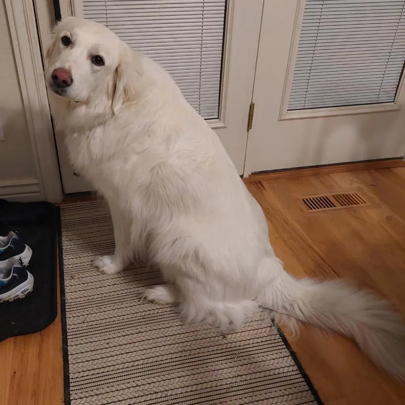 Gracie thumbnail 5