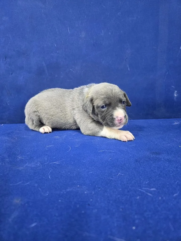 Invisible Woman thumbnail 2