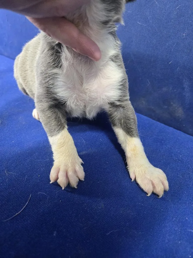 Invisible Woman thumbnail 4