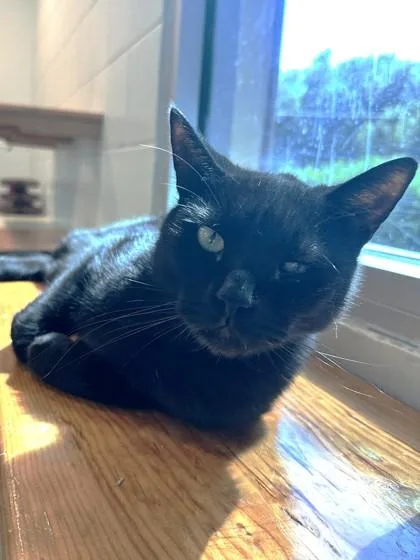 Salem thumbnail 2