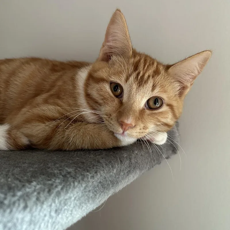 Charlie