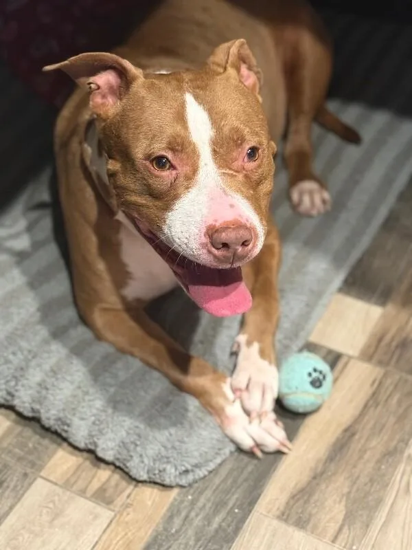 Ruby