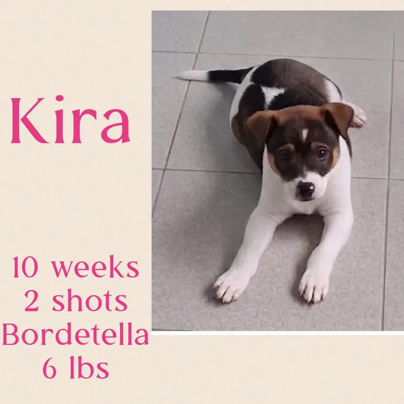 Kira