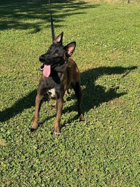 Keira  Located In thumbnail 5