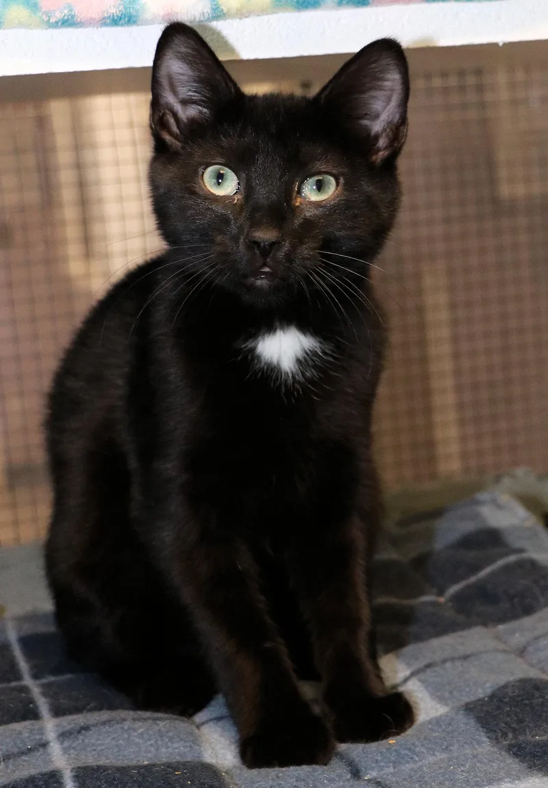 Lafayette thumbnail 2