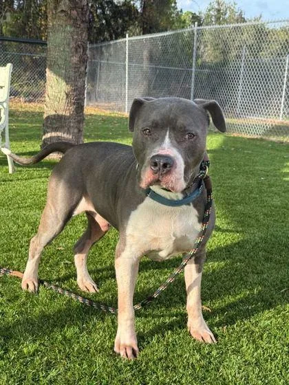 Juice Box thumbnail 2