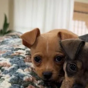 Teeny