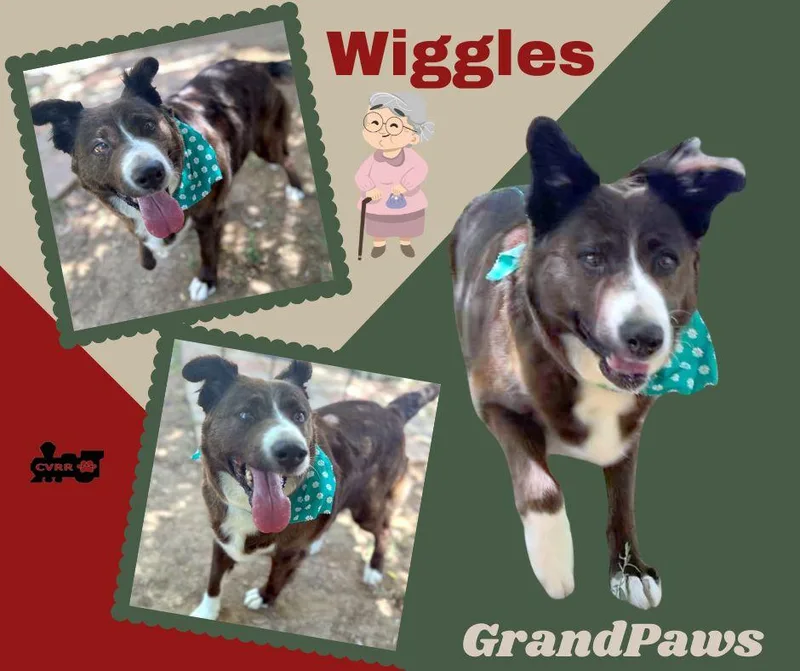 Wiggles