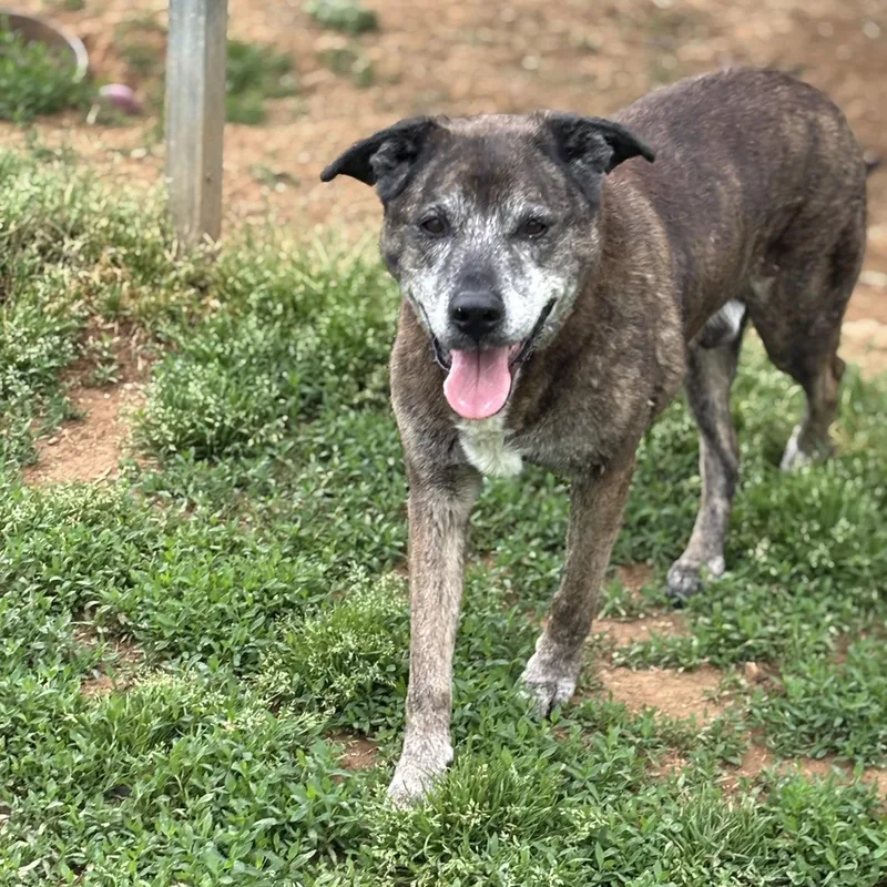 Clarence thumbnail 3