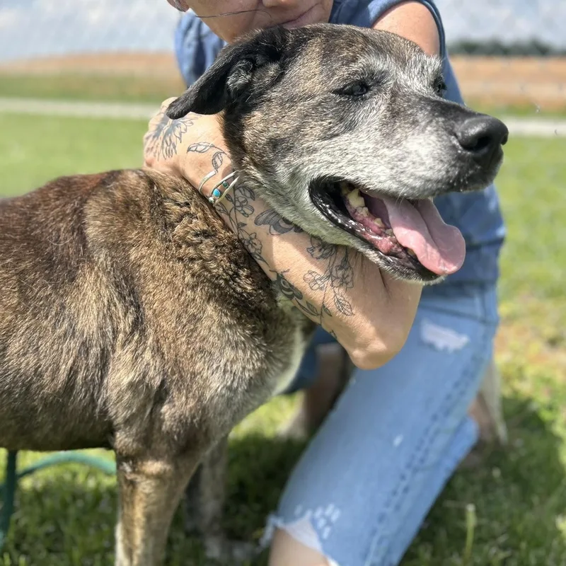 Clarence thumbnail 4