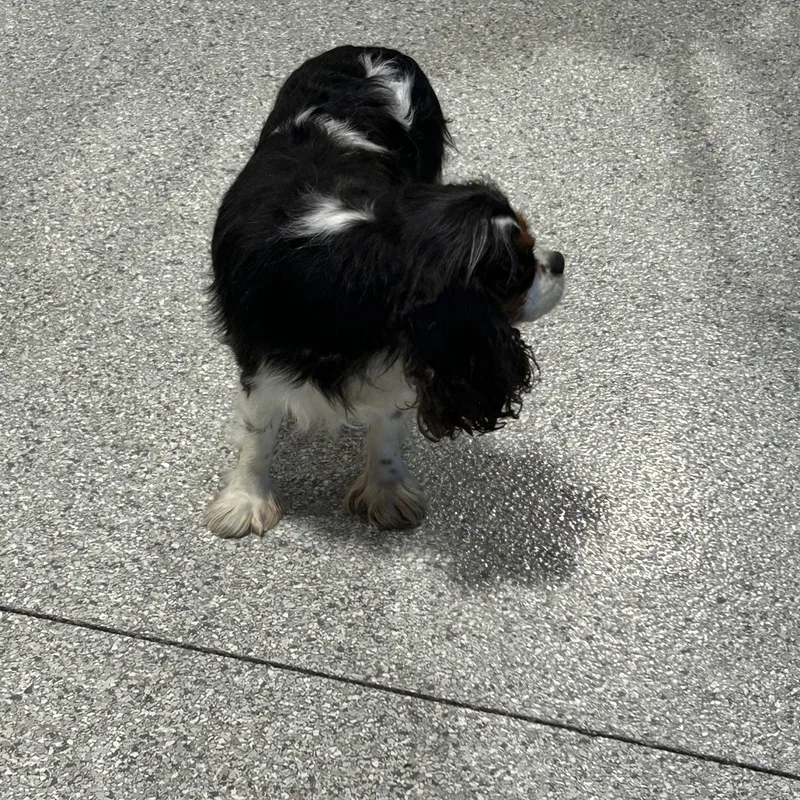 Chill Becky thumbnail 2