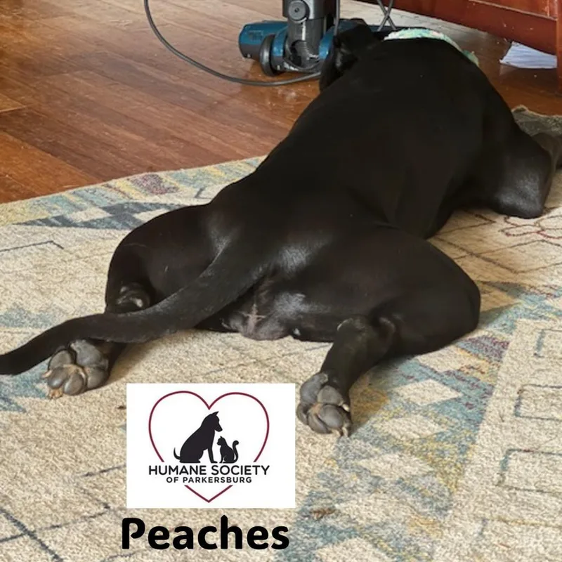 Peaches