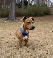 Jackson Brown thumbnail 2