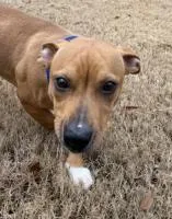 Jackson Brown thumbnail 3