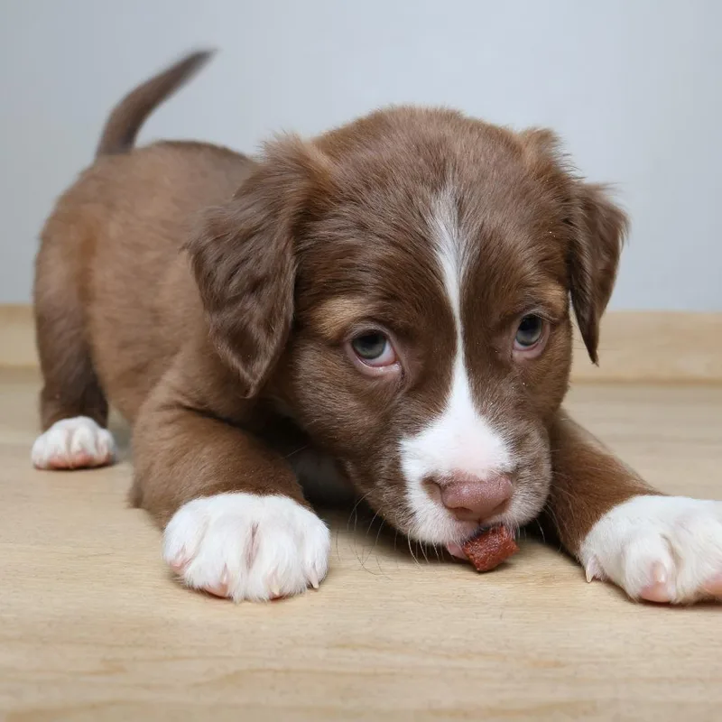 Boogie D thumbnail 3