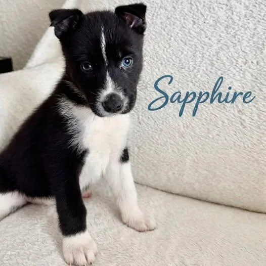 Sapphire