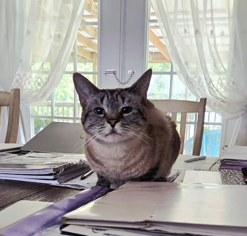 Bernie Mira