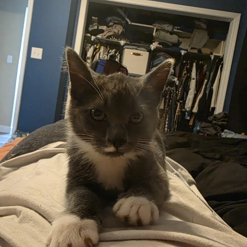 Ethel thumbnail 3