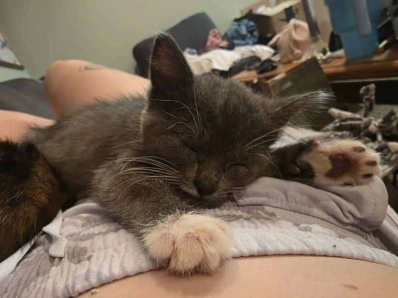 Ethel thumbnail 5