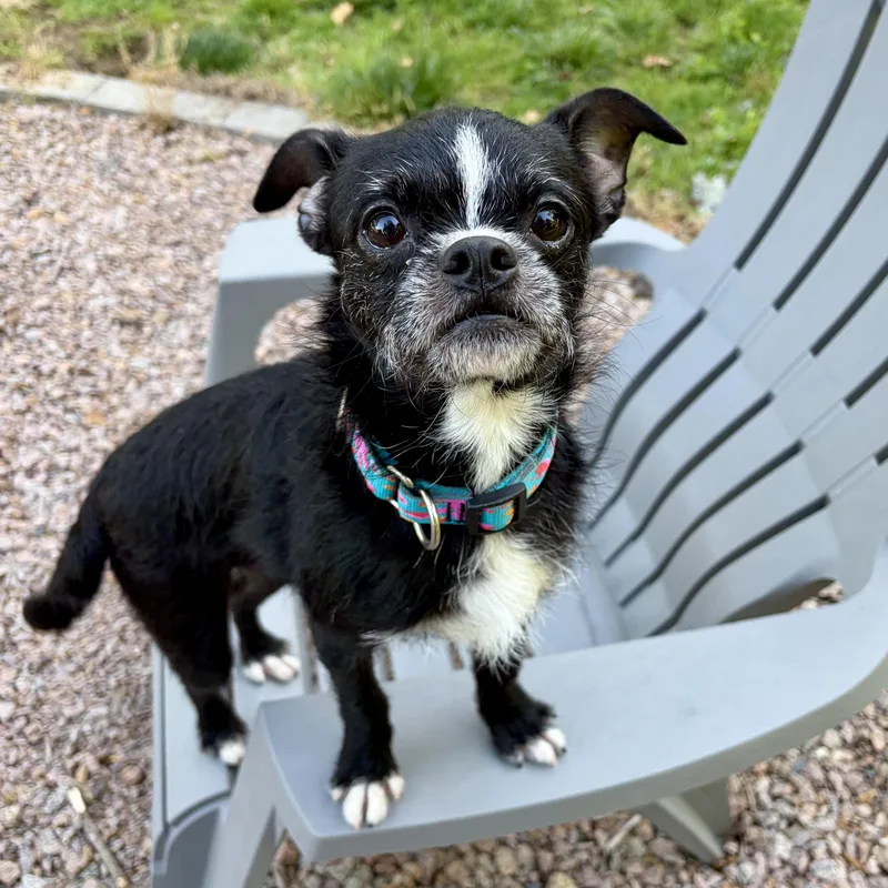 Shelly thumbnail 5