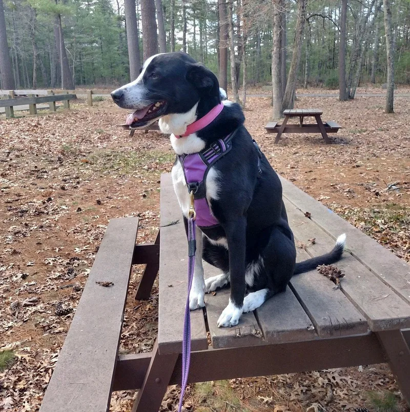 Sophie Pepper thumbnail 2