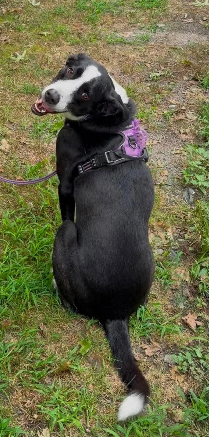 Sophie Pepper thumbnail 3