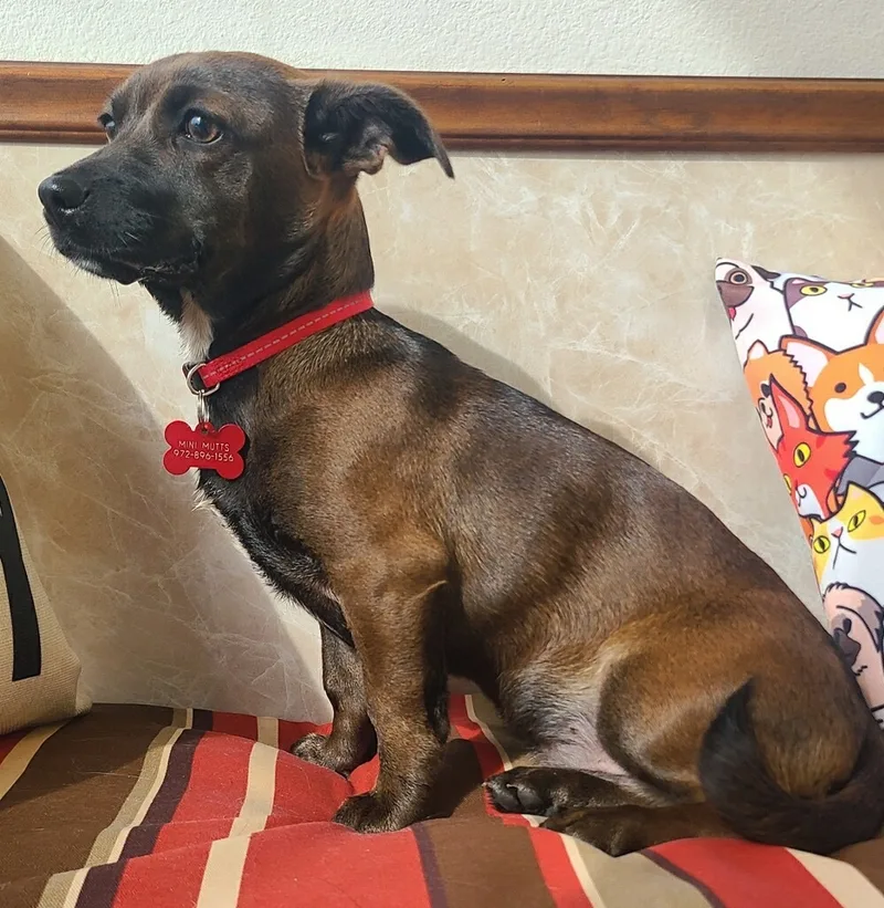 Maverick thumbnail 3