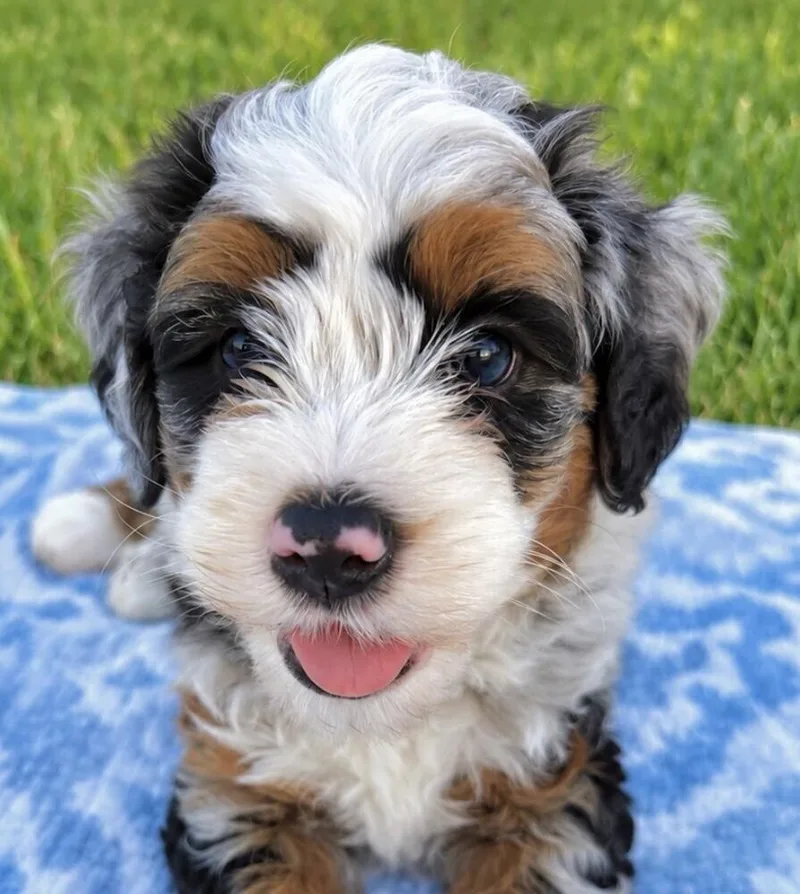 Baby Lenny thumbnail 3