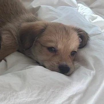 Skittles thumbnail 2