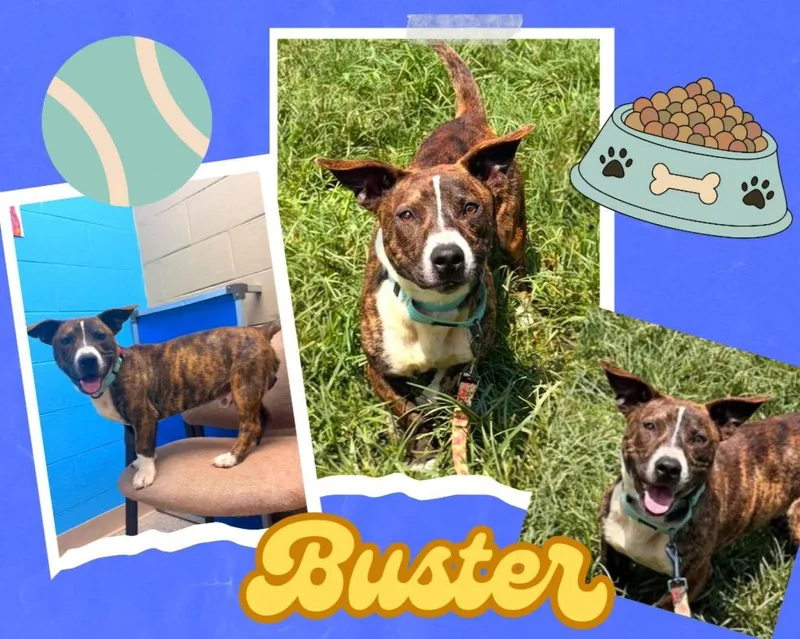 Buster