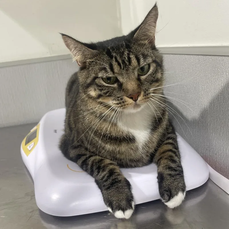 Sparkles thumbnail 2