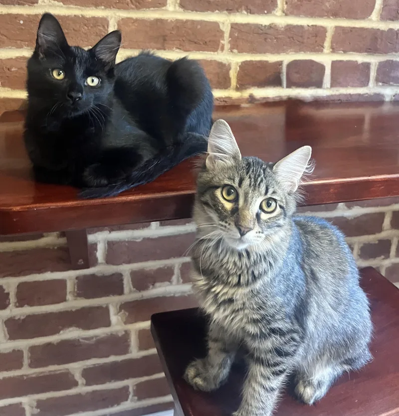 Darrius & Ella